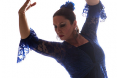 PYA-2814_mini-456x456