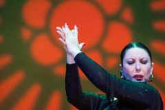 Yolanda_Herencia-Flamenca-500x489