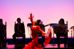 Yolanda_guajira6-456x456